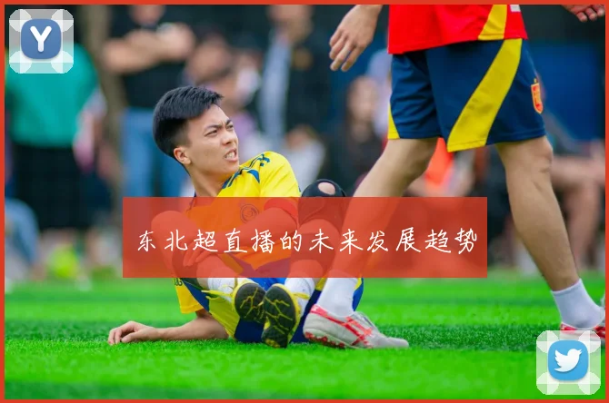东北超直播的未来发展趋势