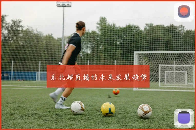 东北超直播的未来发展趋势
