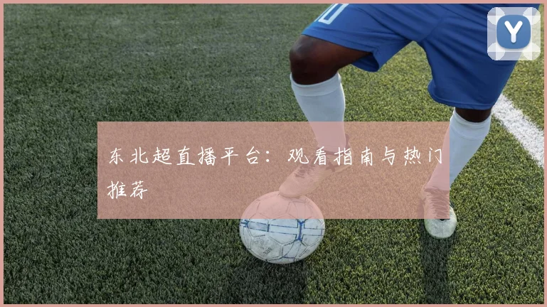 东北超直播平台：观看指南与热门推荐
