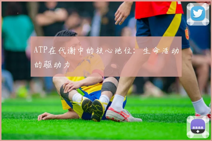 ATP在代谢中的核心地位：生命活动的驱动力